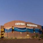 OdySea Aquarium