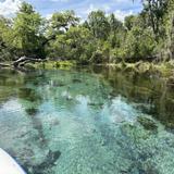 Ichetucknee Springs State Park