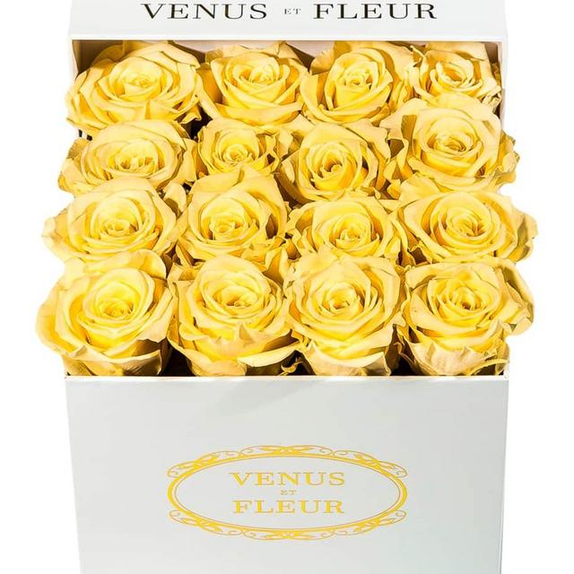 Venus ET Fleur Classic Small Square Rose Box (white)