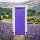 Wānaka Lavender Farm