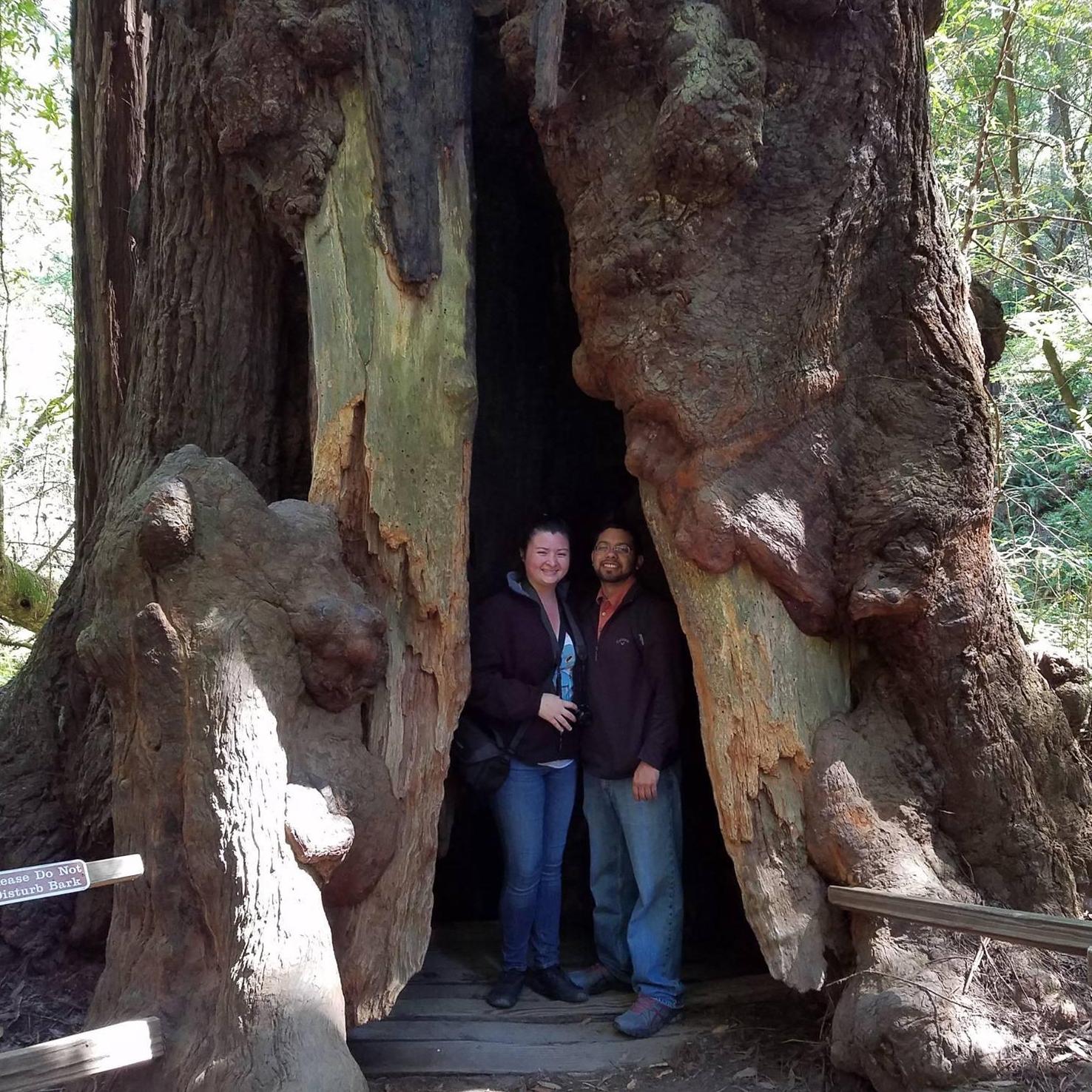 Us inside a dead redwood tree at the Muir Woods.