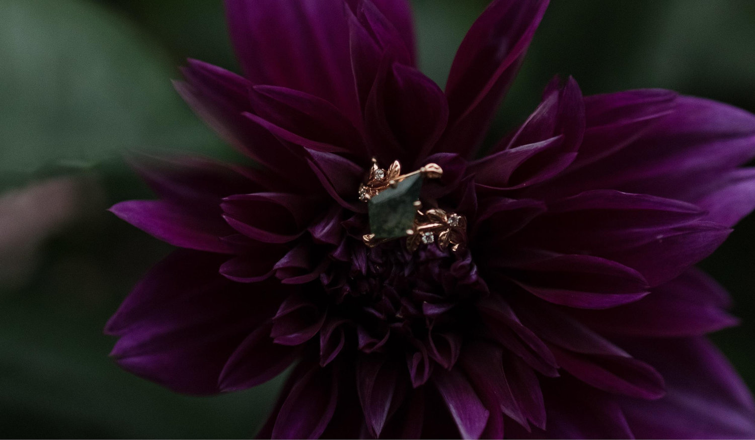 Footer image