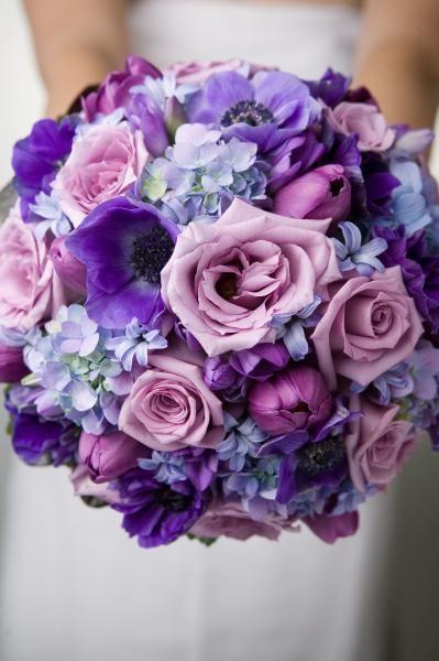 The Wedding Website of Rowan Formichelli and Tristan Wright
