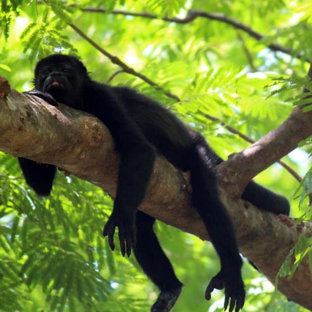 Honeymoon in Costa Rica