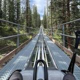 Breathtaker Alpine Coaster