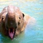 Santa Barbara Zoo
