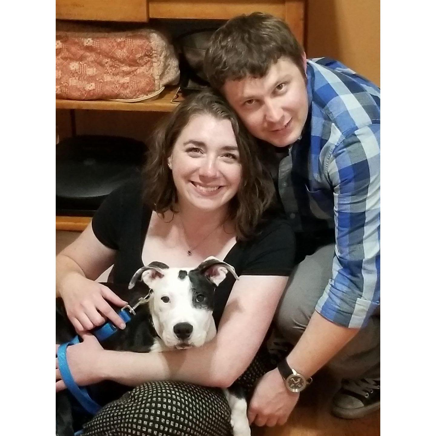 The night we adopted Rowan