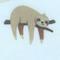 Sloth/toucan