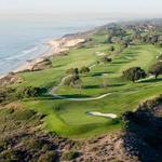 Torrey Pines State Beach