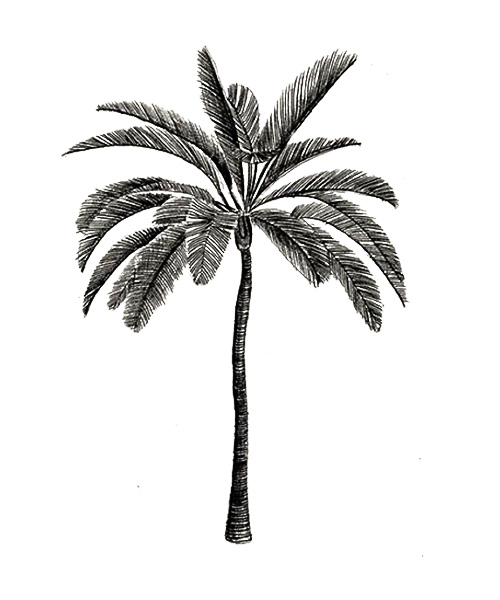 9b990e13-f700-4f7d-8ce5-c074629e352e