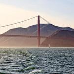 Boat tour around the Bay