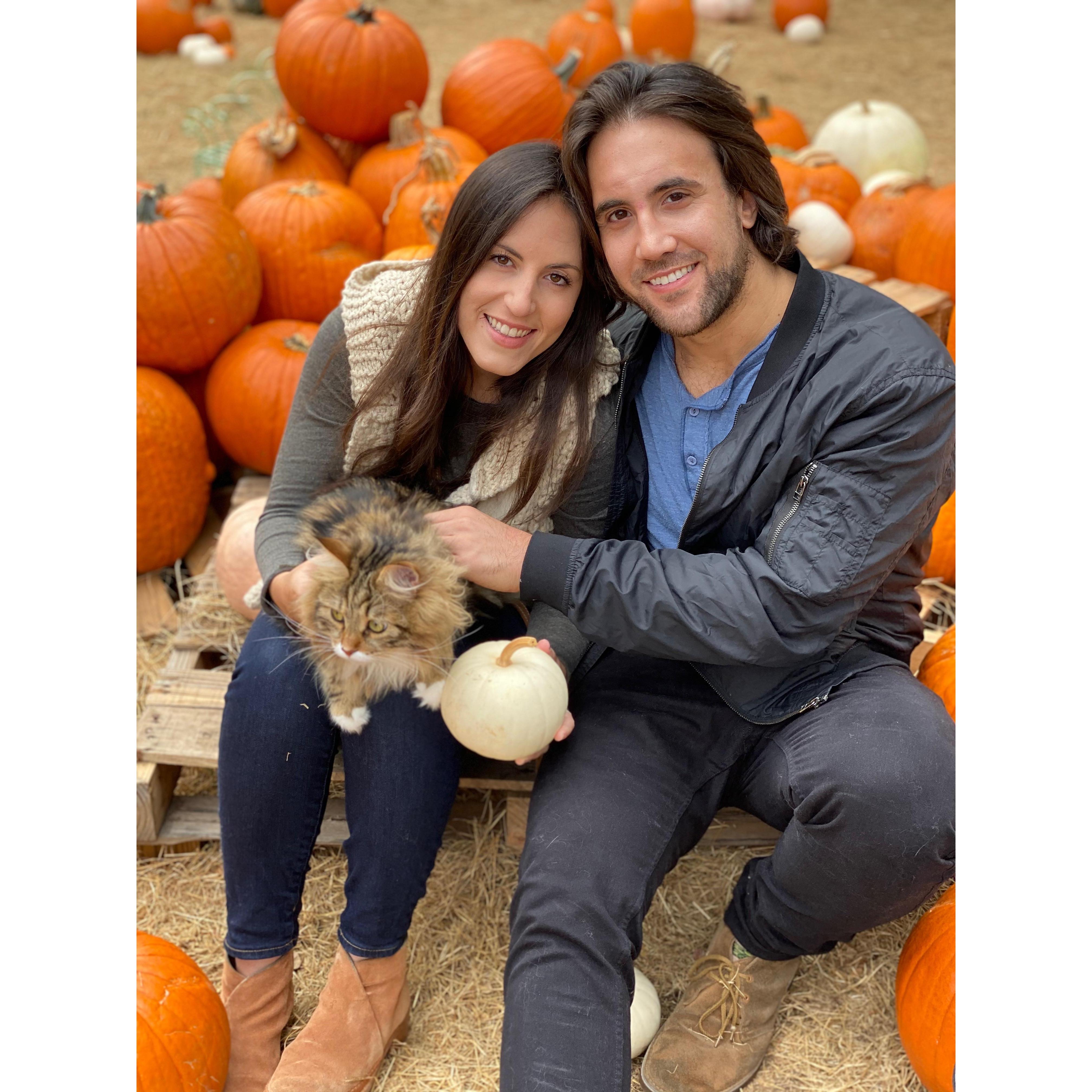 Family outing to the pumpkin patch!