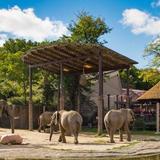Cleveland Metroparks Zoo