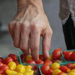 Santa Monica Farmers Market