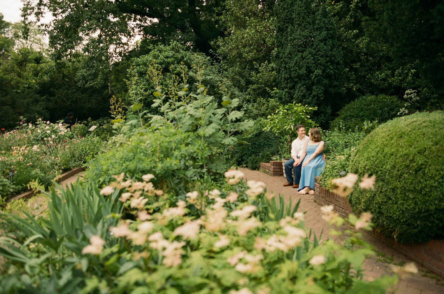The Wedding Website of Megan Rooney and Sean Williams
