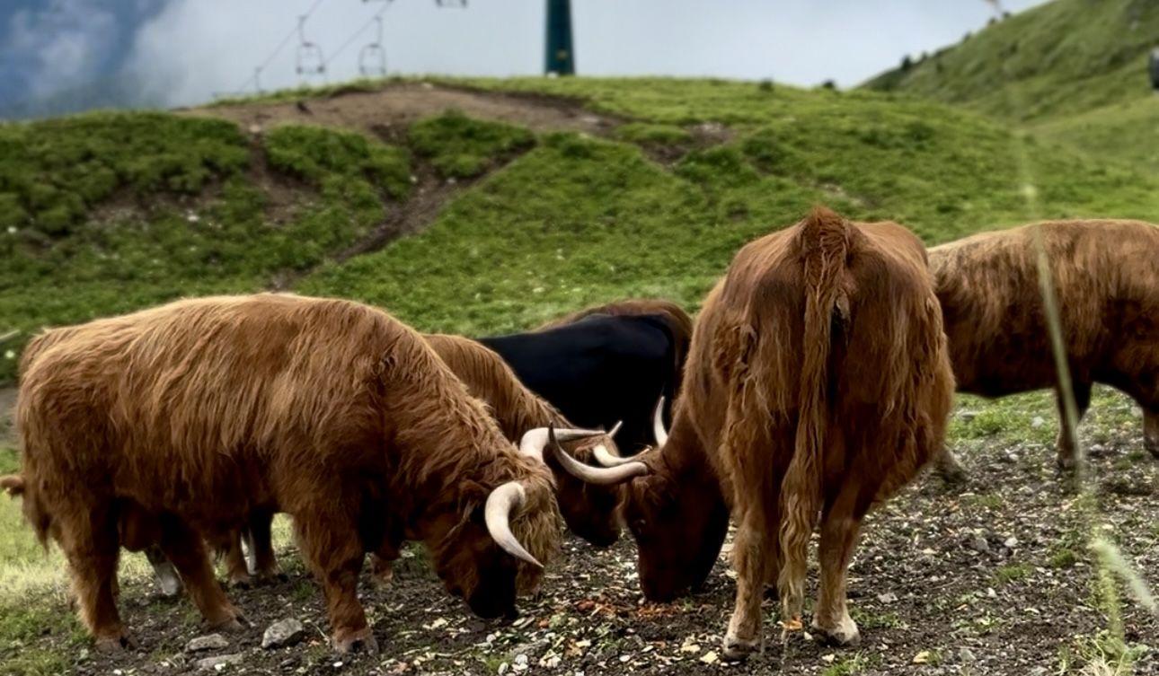 Hero Slideshow Image 1