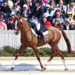 Kentucky Horse Park