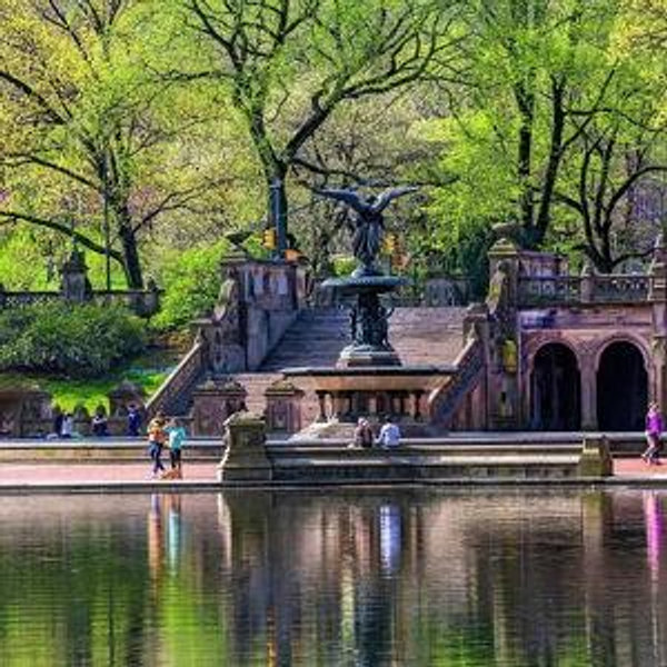 Say 'I DO' in Central Park