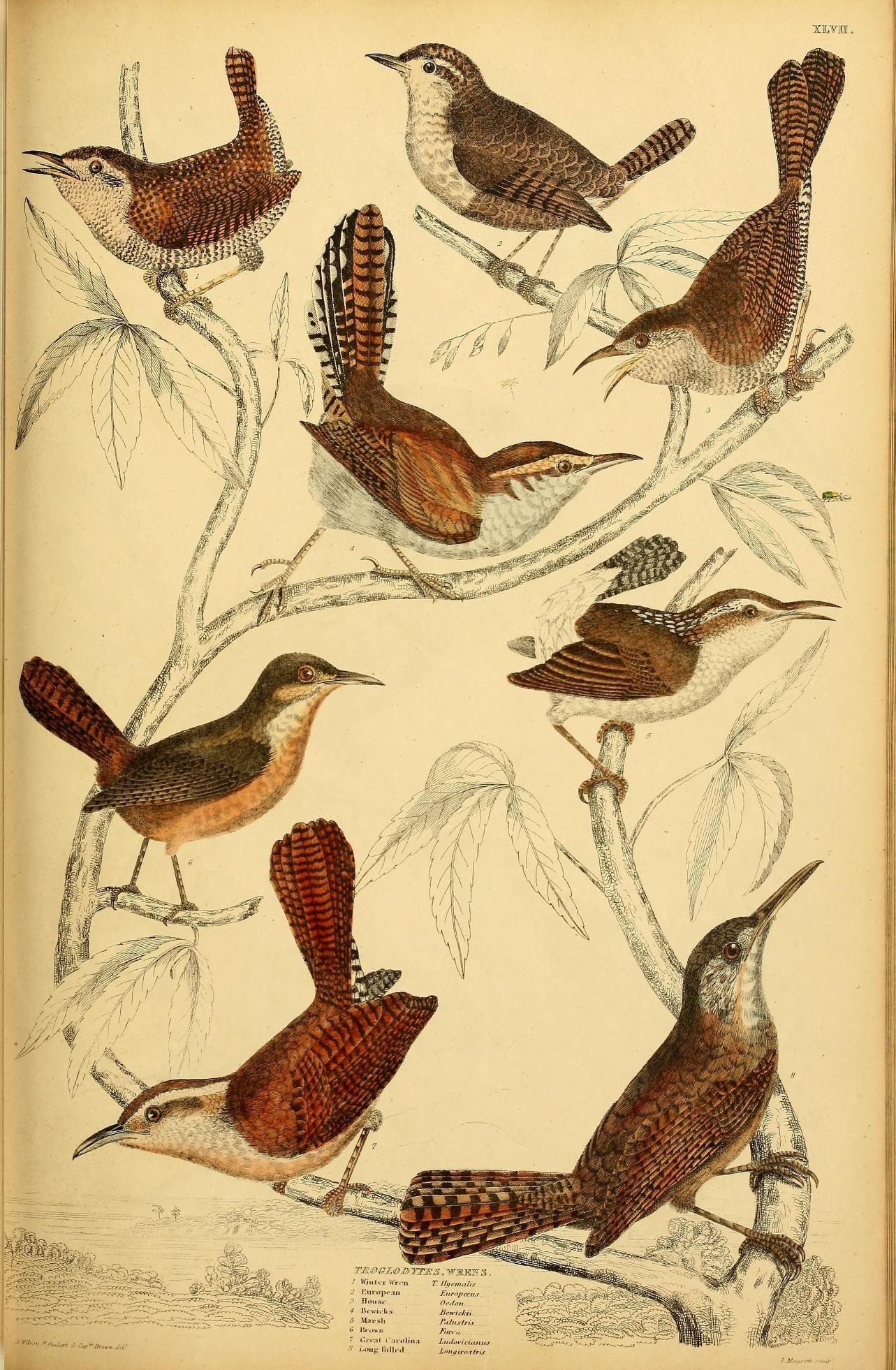 The Wedding Website of Lily Kingsolver and Phillip Hall