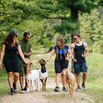 Hoof It Goat Treks