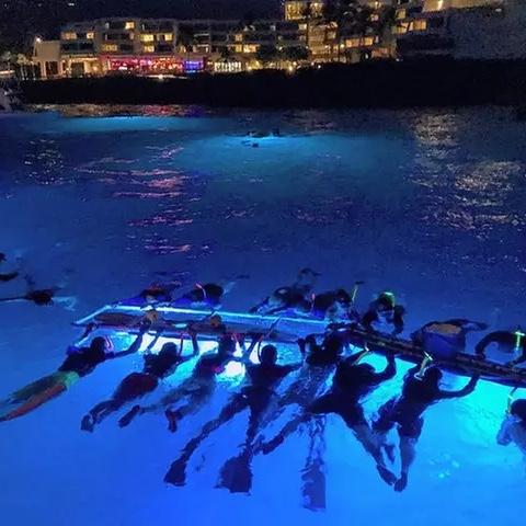 Manta Ray Night Snorkel in Kona