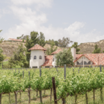 Somerset Winery
