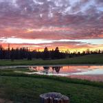 Midnight Ranch