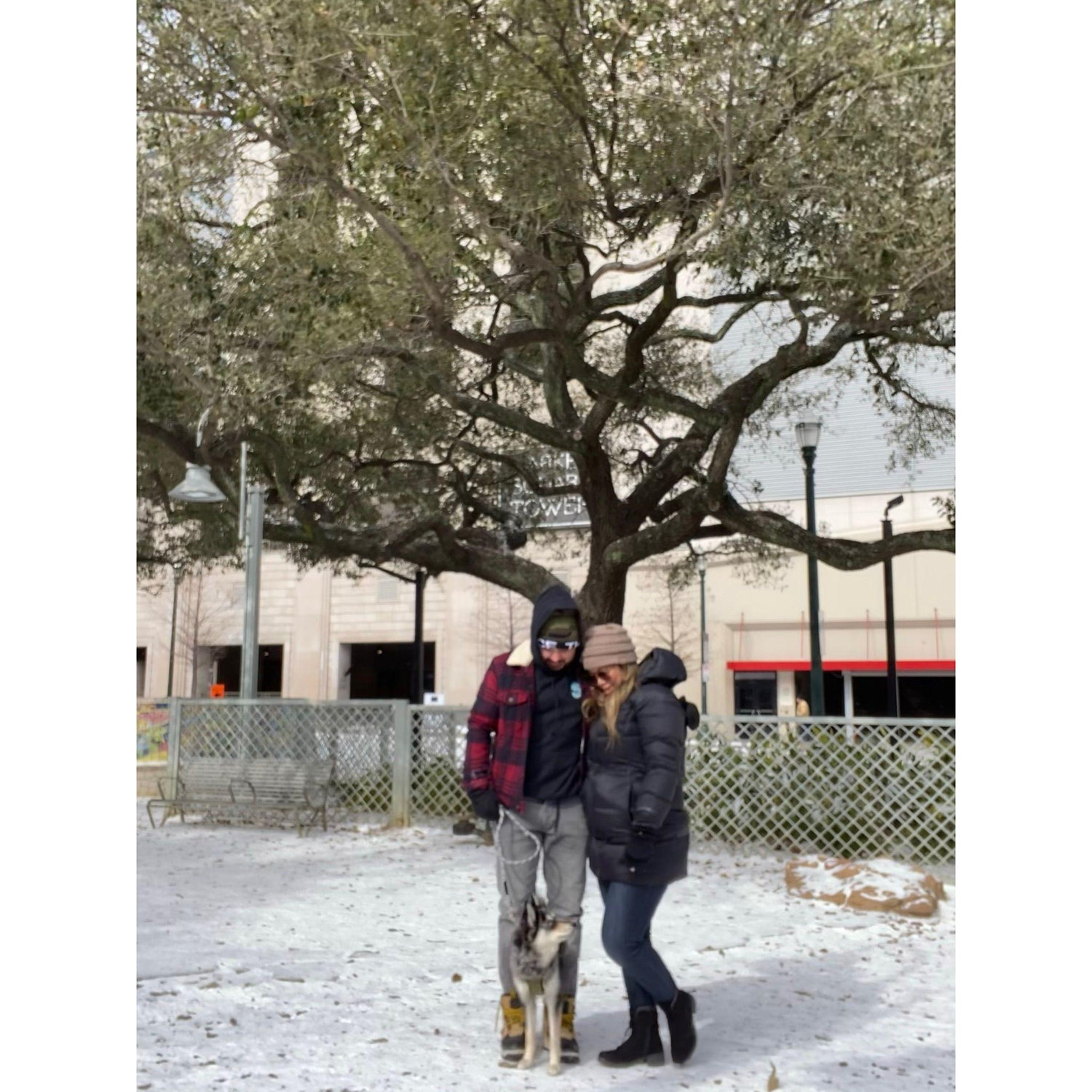 Snow fall in Texas