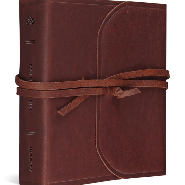 ESV Journaling Study Bible (Natural Leather, Brown, Flap with Strap): Holy Bible, English Standard Version