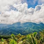 El Yunque - Rainforest