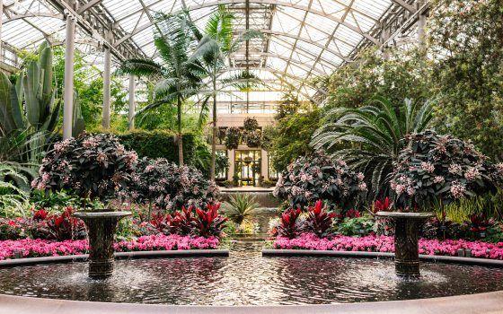 The Wedding Website of Elliot Udell and Melissa Monteza