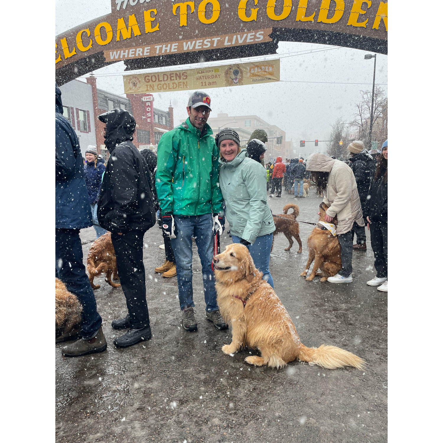 Goldens in Golden