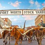 Fort Worth Stockyards