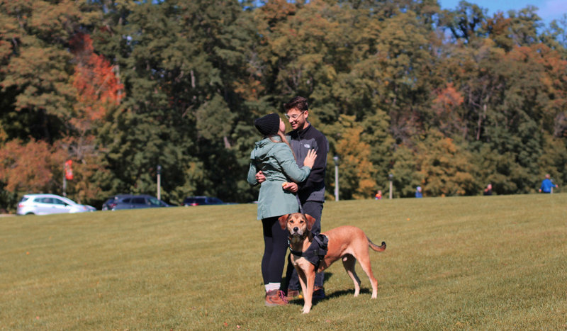 Hannah Menzel and Joe Samara's Wedding Website