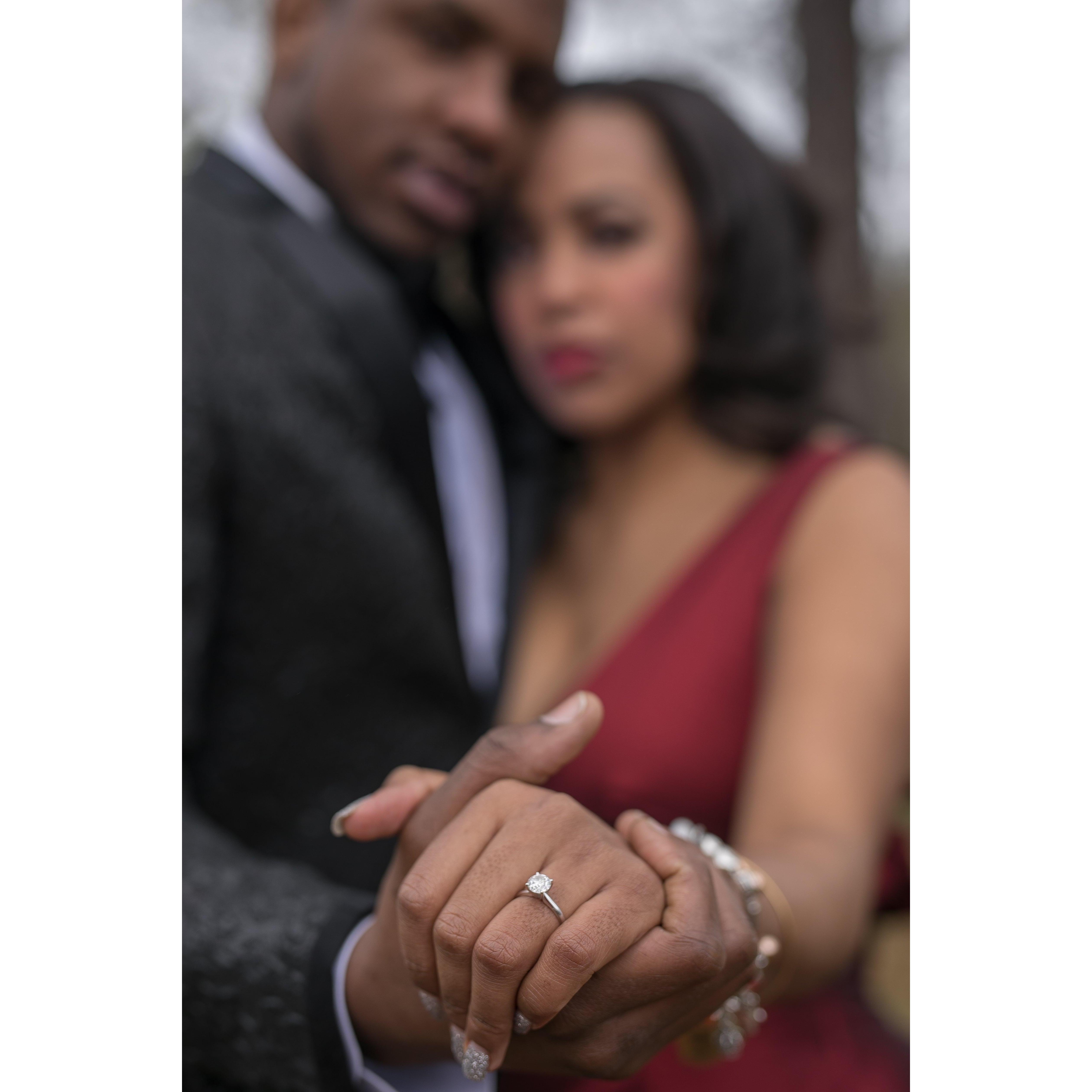 Engagement Photo Shoot
Photos by Dwight Ladd
Makeup by Walter Antone
Mobile Japanese Gardens, Lundi Gras 2019