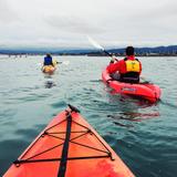 Adventures By The Sea