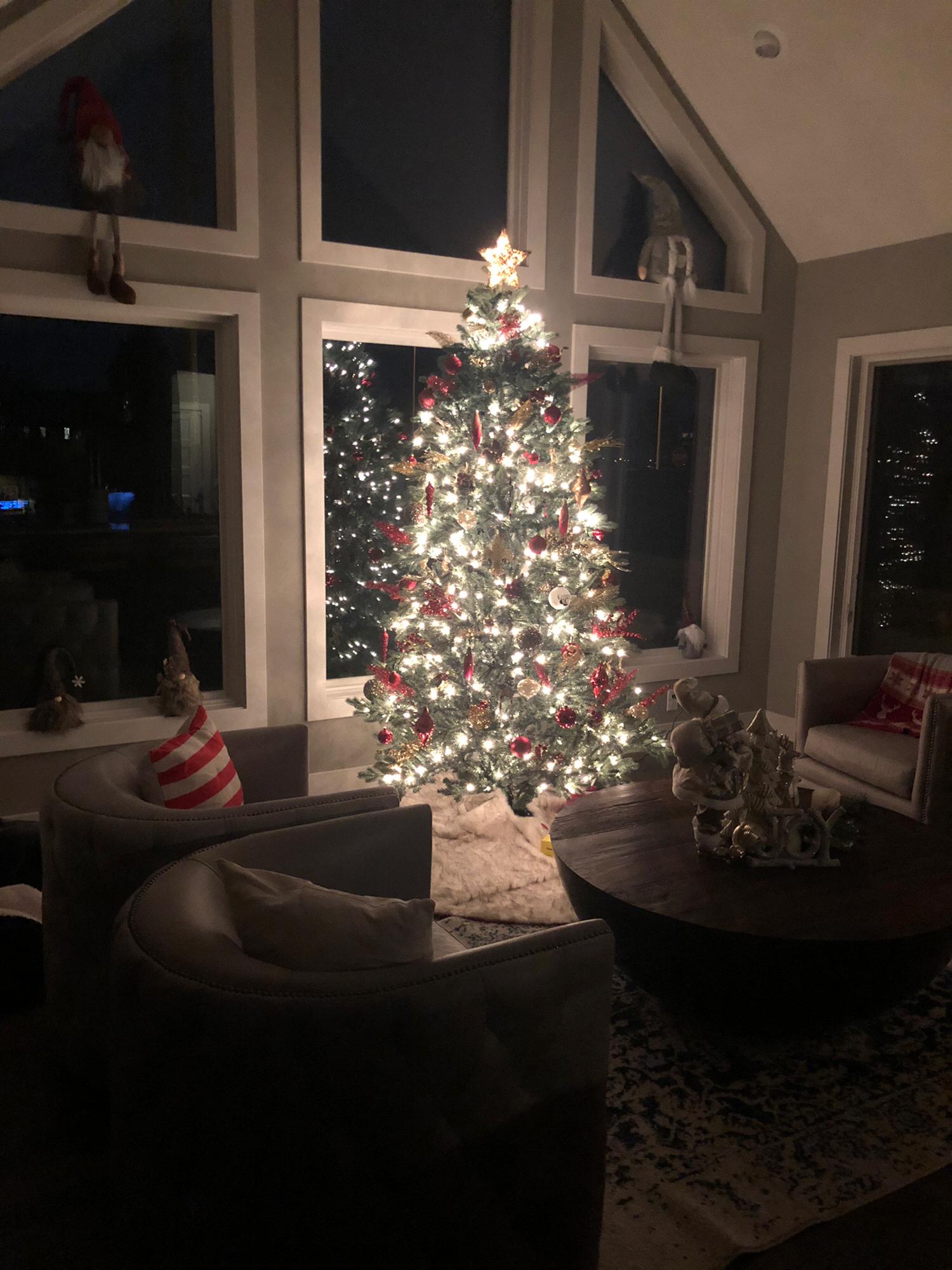 Christmas 2018 - Our Favorite Time of the Year !
