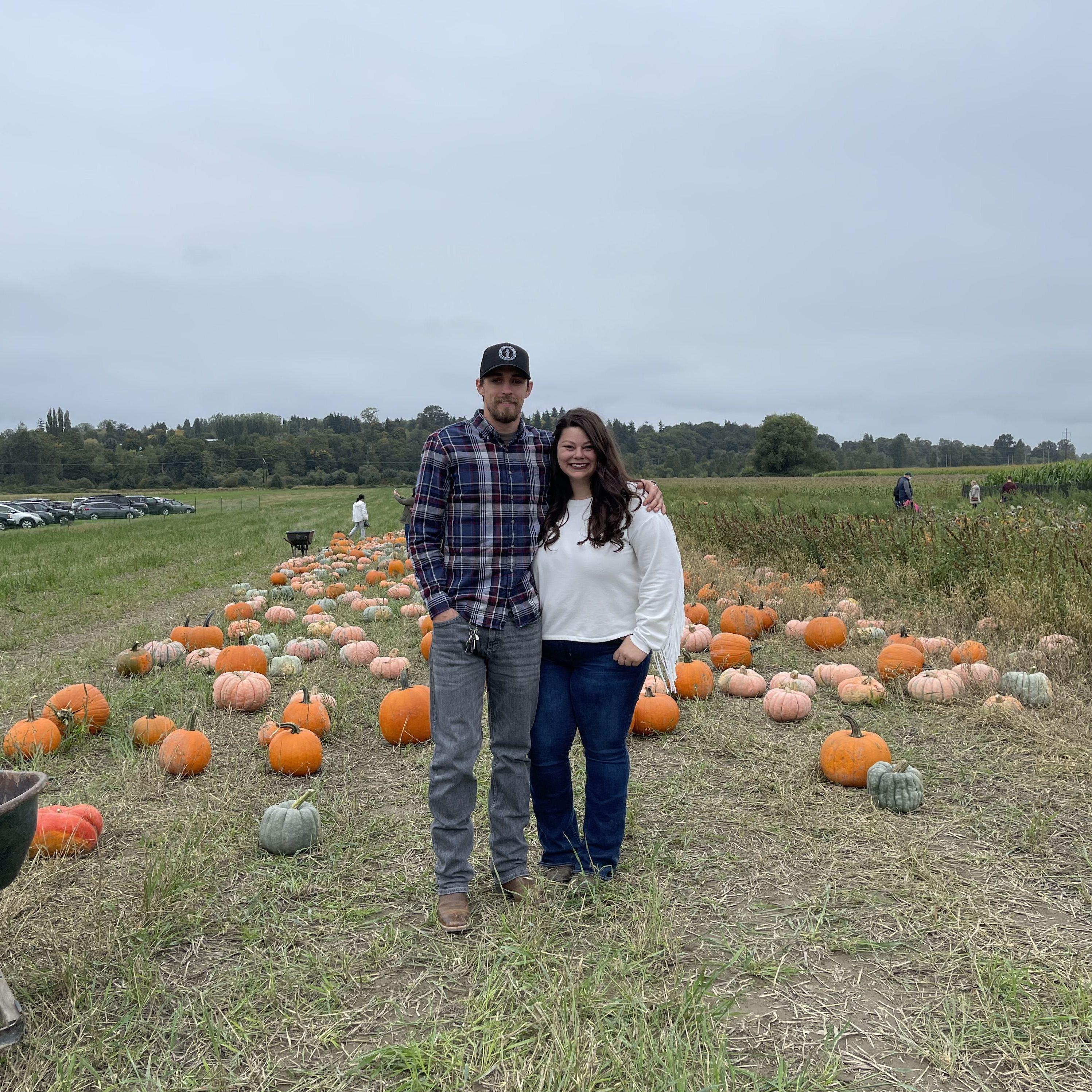 Pumpkin Patch in Snohomish!