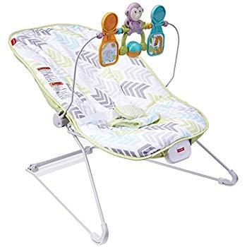 Fisher-Price Deluxe Bouncer: Geo Meadow