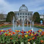 Enjoy Spring at Lewis Ginter Botanical Garden