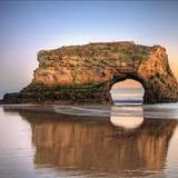 Natural Bridges State Beach
