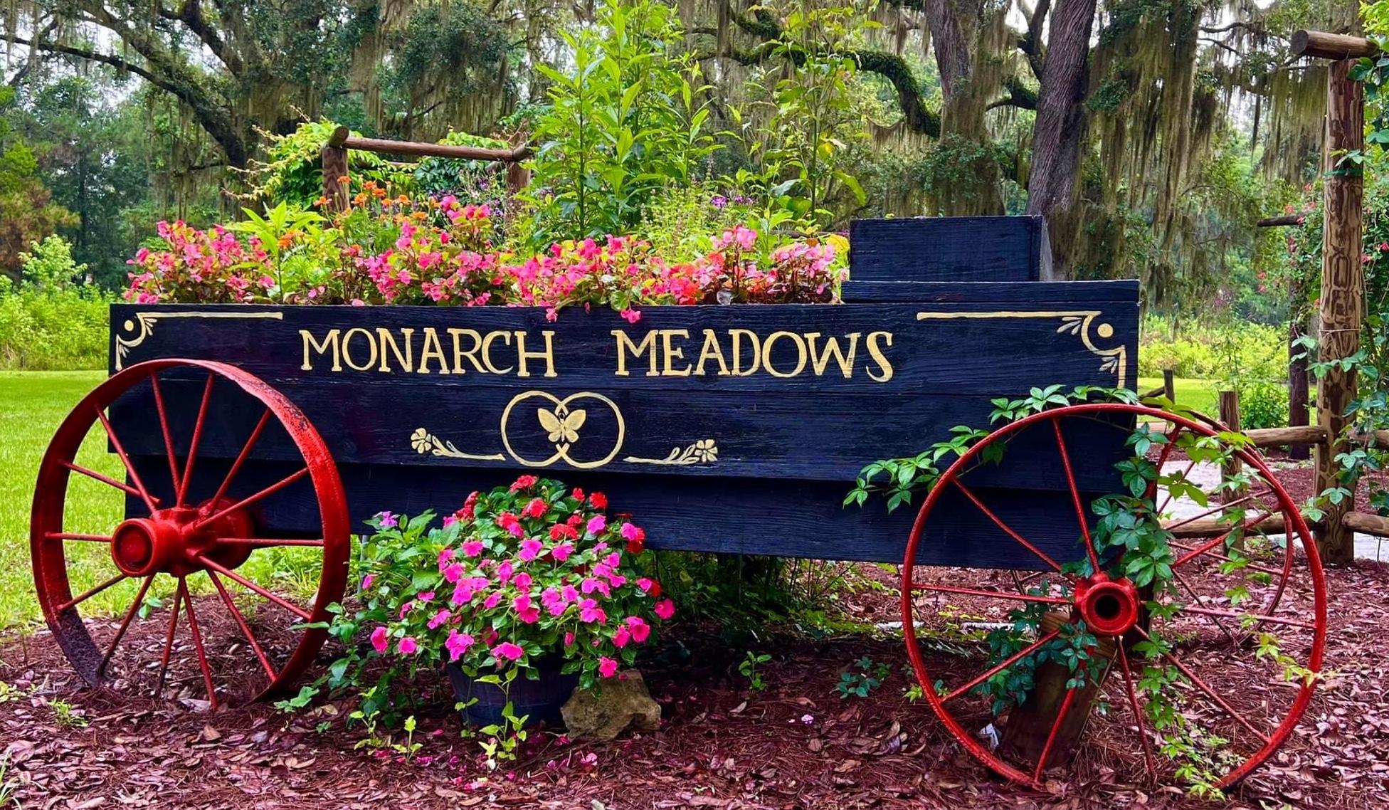 The Wedding Website of Julie-Ann Calhoun and Timothy Neptune