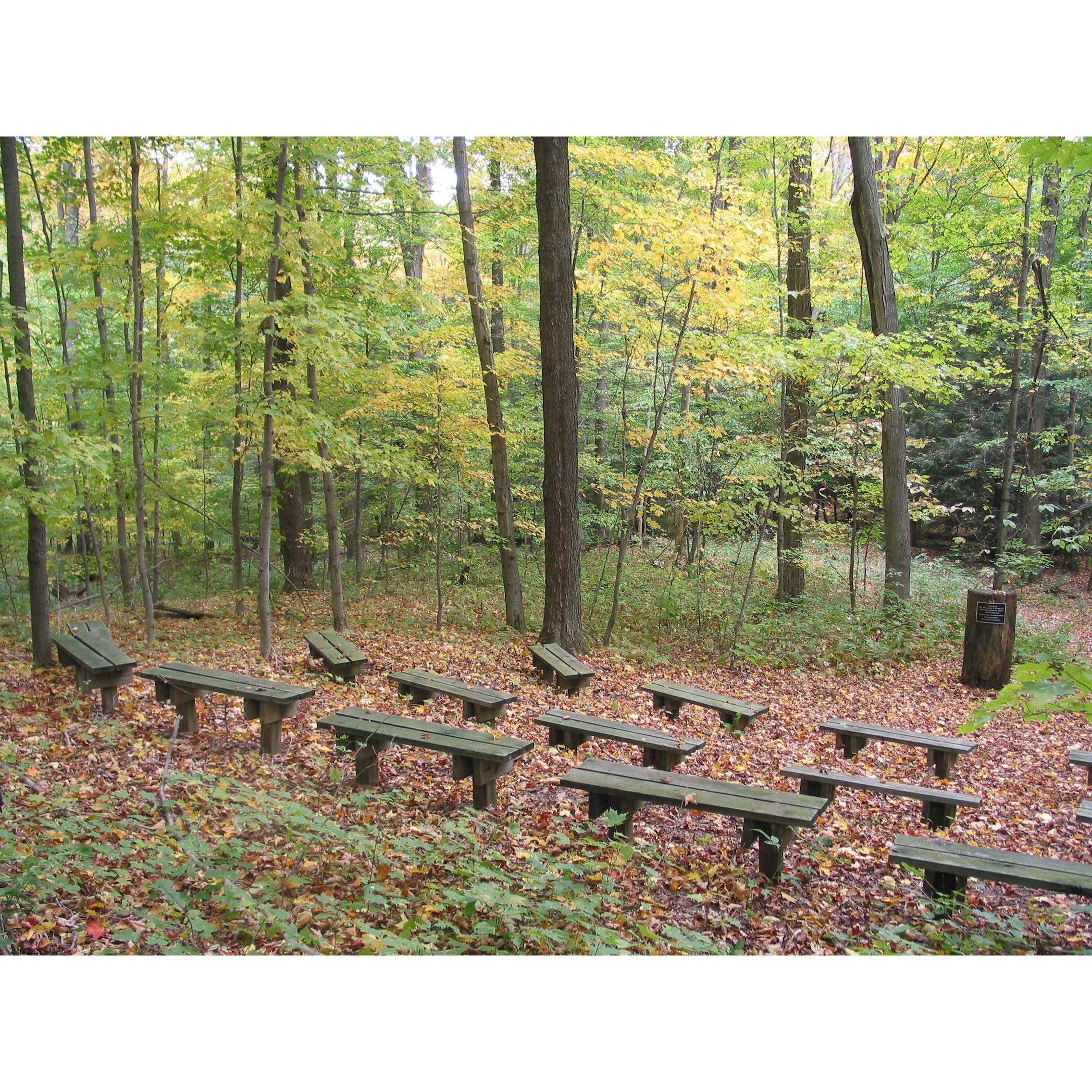 Amphitheatre at the Lodge