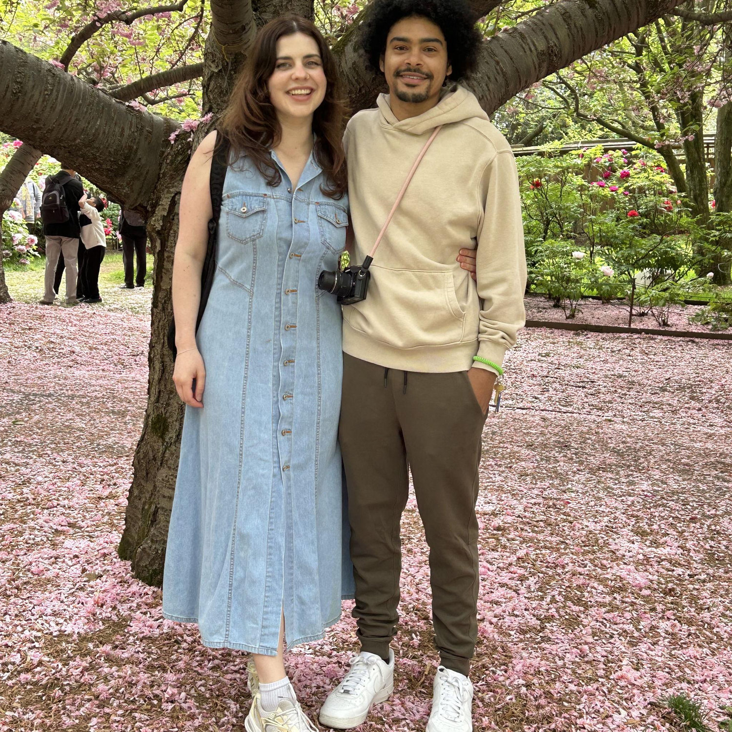 Cherry Blossoms at the Brooklyn Botanical Garden