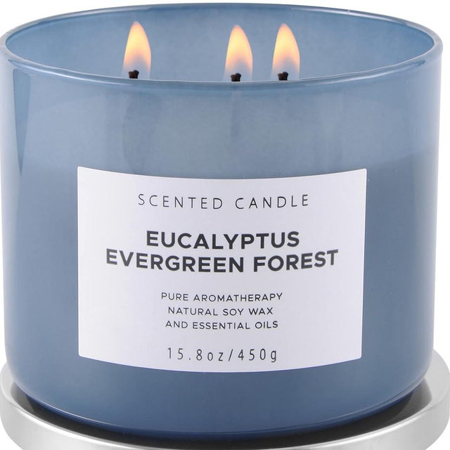 Eucalyptus Evergreen Forest Luxury 3 Wick Winter Pine Candle | Mens Candles, Scented Candles for Home | Aromatherapy Stress Relief Soy Candles 15.8 oz | Balsam Fir Woods Candles for Men & Women