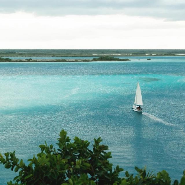 Bacalar Flora & Fauna Experience