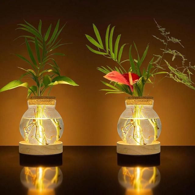 Everkeen Plant Propagation Station with Wooden Saucer, Glass Terrarium with Stepless Dimming Function Hydroponic Glass Container Vase Jars Gardening Gifts for Mom Women Plant Lovers(2 Pack)