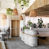 Coral Club
