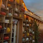 Yesteryear Farms