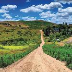 Peters Canyon Regional Park